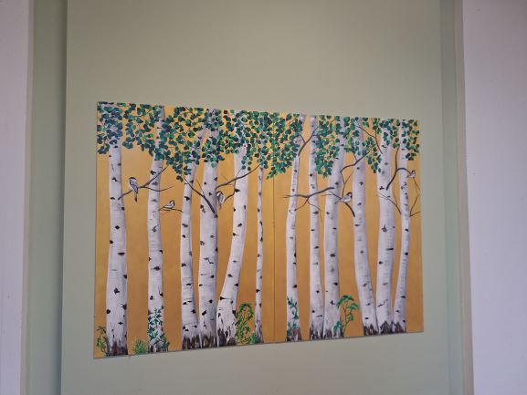 Progetto Curare a colori - Foto 10_rid