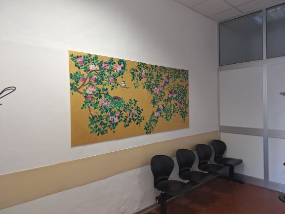Progetto Curare a Colori - Foto 11_rid