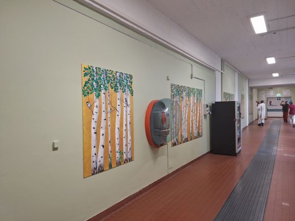 Progetto Curare a Colori - Foto 9_rid